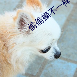 偷偷操(操)不一样