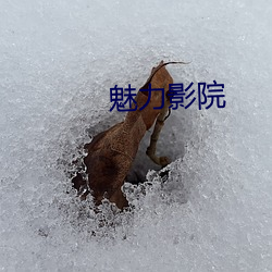 魅力影院 （君子成人之美）