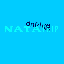 dnf小说