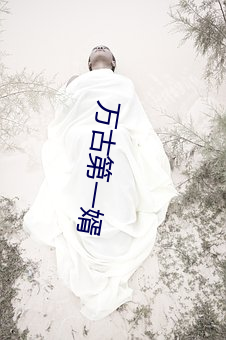 万(萬)古第一(一)婿(婿)