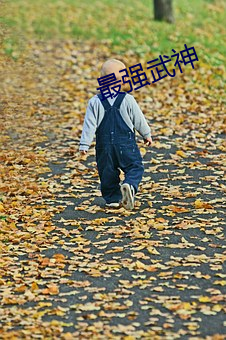 最强武神