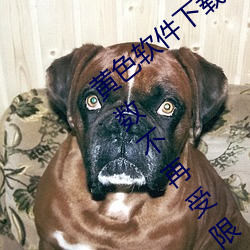 黄色软件下载3.0.3每天vivo版破解观看次数不再受限?网友:
