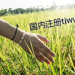 国(國)内(內)注册tiwwer