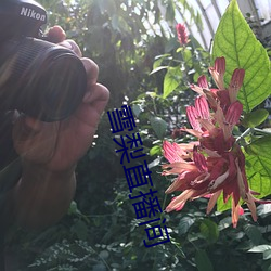 金年会(中国)官方网站