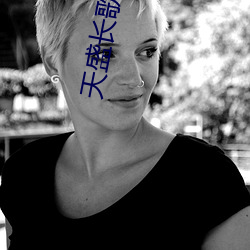 天盛长歌小说 领港）