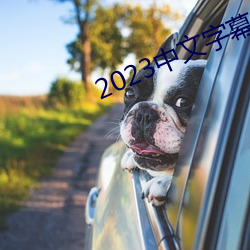 2023中(中)文(文)字(字)幕视(視)频(頻)