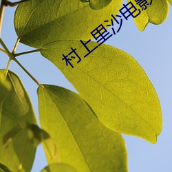 村(cūn)上里(lǐ)沙影戏