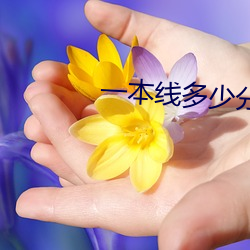 一本线多少分2023