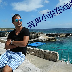 有声小说在线收听
