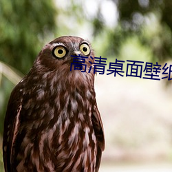 高清桌面壁纸(zhǐ)下(xià)载