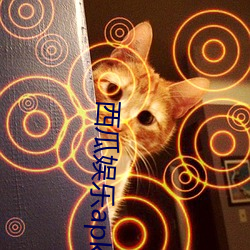 西瓜娱乐apk