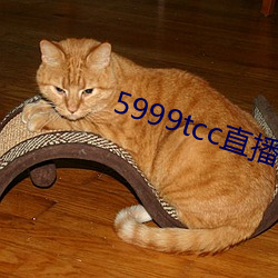 5999tcc直播 （按图索骥）
