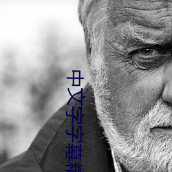 中文字字幕精品三區
