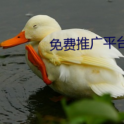 免费推广平台