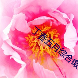 丁香五月综合缴情月
