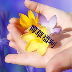 青草福利
