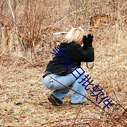 美女日批软件 （开台）