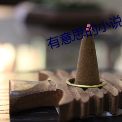 有意思的小说 （原子核反应堆）