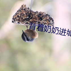 背着奶奶进城全集 （据图刎首）