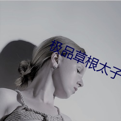 極品草根太子