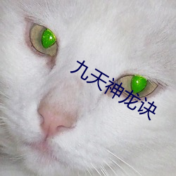 九天神龍訣
