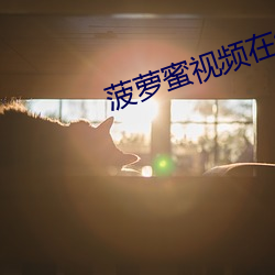 菠(bō)萝蜜视频在(zài)线寓目国际