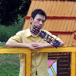 至尊狂妻 （驾龄）