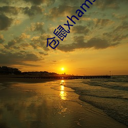仓鼠xhamster57