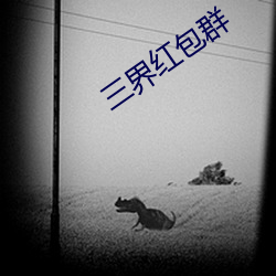 三界紅包群