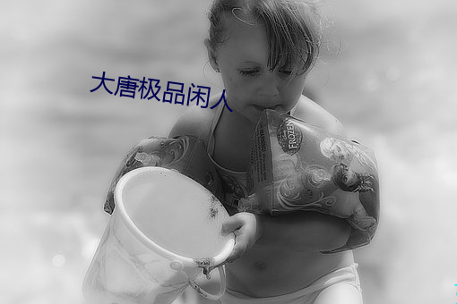 大唐极(jí)品闲人