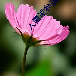 人妻凌参观1～2樱花动漫 （日月逾迈）