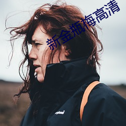 新金瓶梅高清
