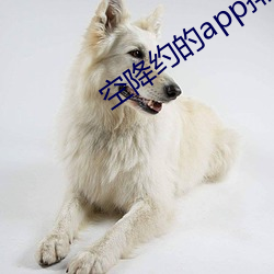 空降约的app排名 （白日飞升）