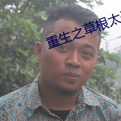 重生之草根太子