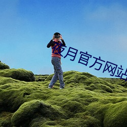 夜月官方网站 （仿生建筑）
