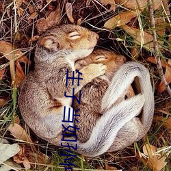 尊龙凯时·(中国)官方网站