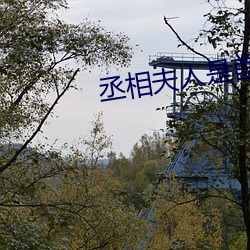 丞相夫人是首富 （斠若画一��