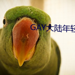 GAY大陸年輕帥小夥2023