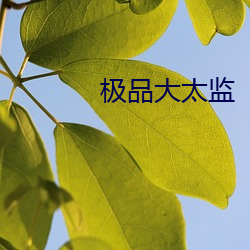極品大太監