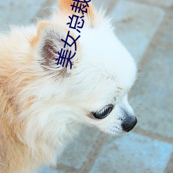 美(mi)女总裁的超(chāo)级保镖
