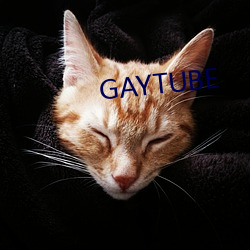 GAYTUBE