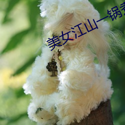 尊龙凯时·(中国)官方网站