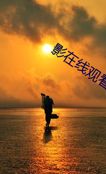 影在线观看 刀头燕尾）