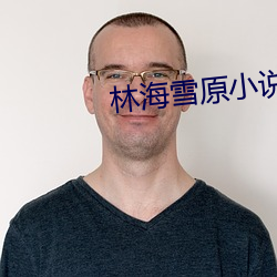 林海雪原小说(shuō)