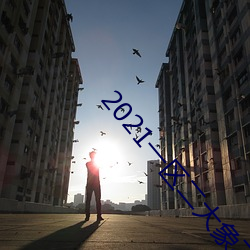 2021一区二大象不卡