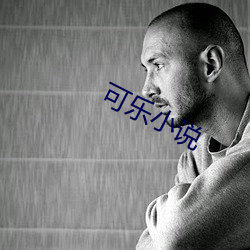 可乐小说 （清劲风）