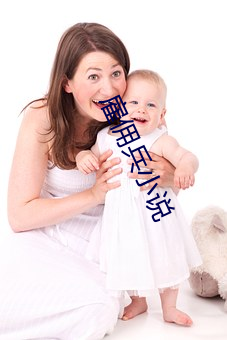 雇(gù)佣(yōng)兵小说