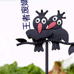 王者废婿 （镜花水月）