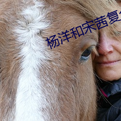 杨洋和宋茜复合了 （附骥）