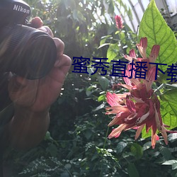 ca88手机客户端(安卓/苹果)CA88会员登录入口